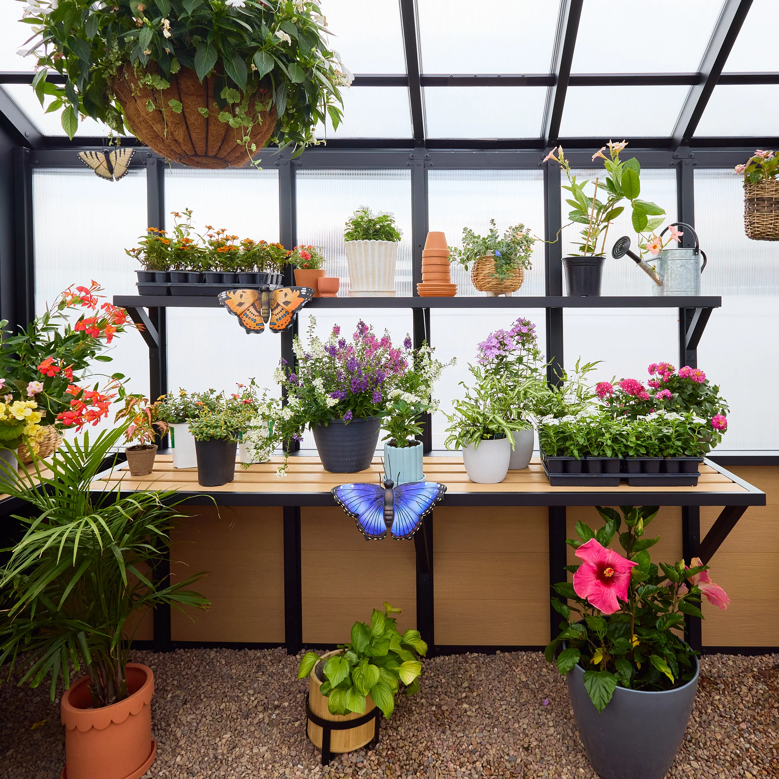 14x12 Larkspur Metal Greenhouse - Image 16