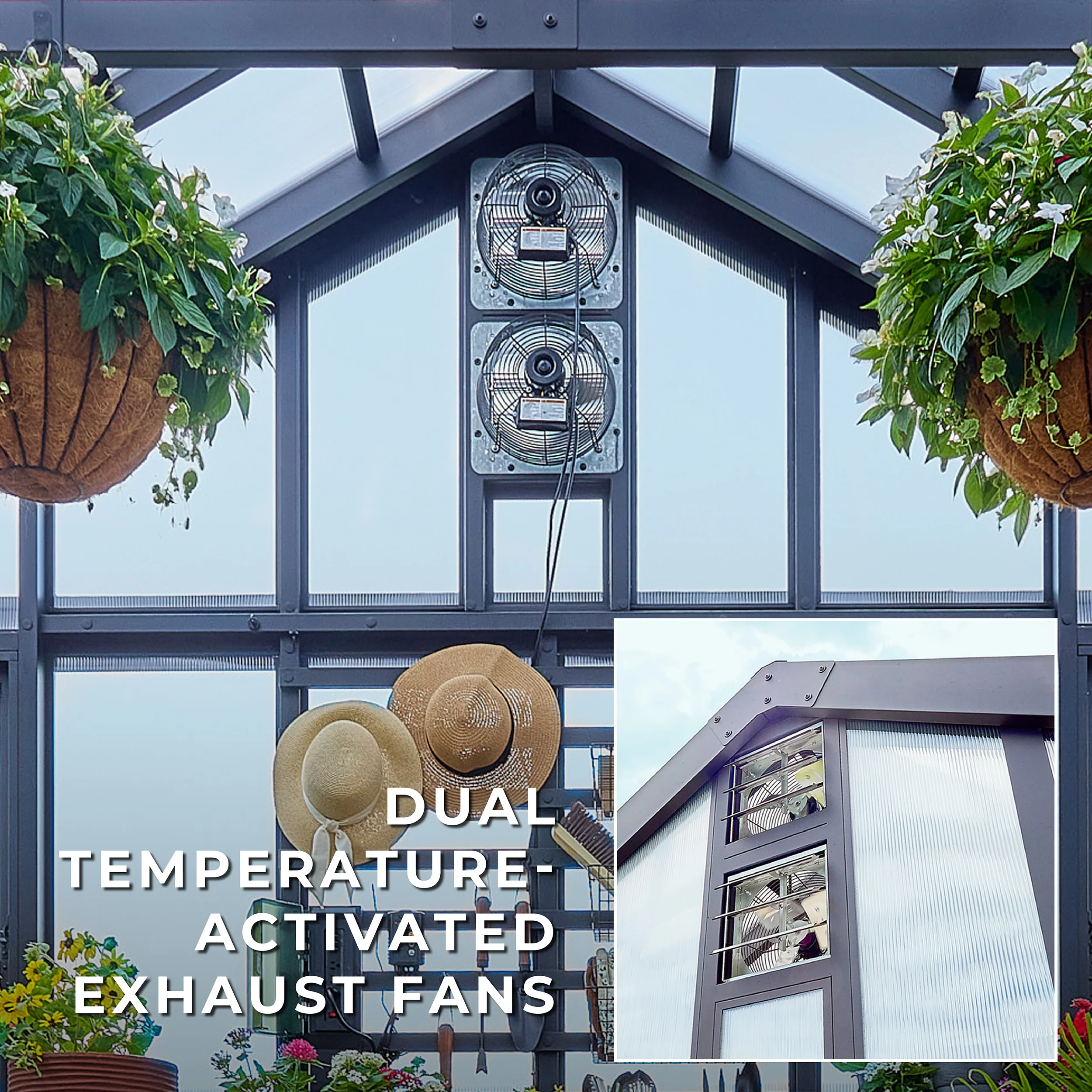 14x12 Larkspur Metal Greenhouse - Image 4