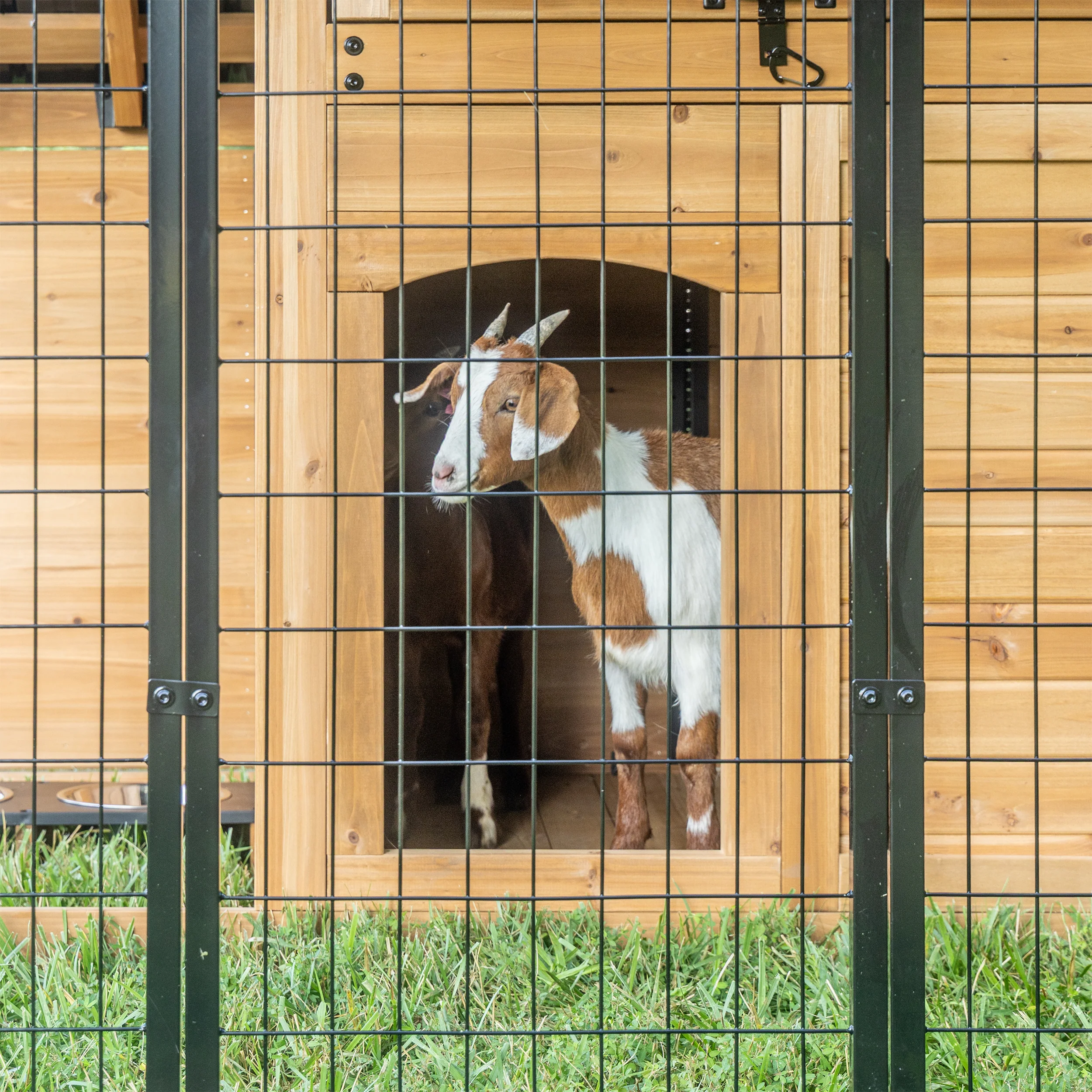 Animal Enclosure - Image 12