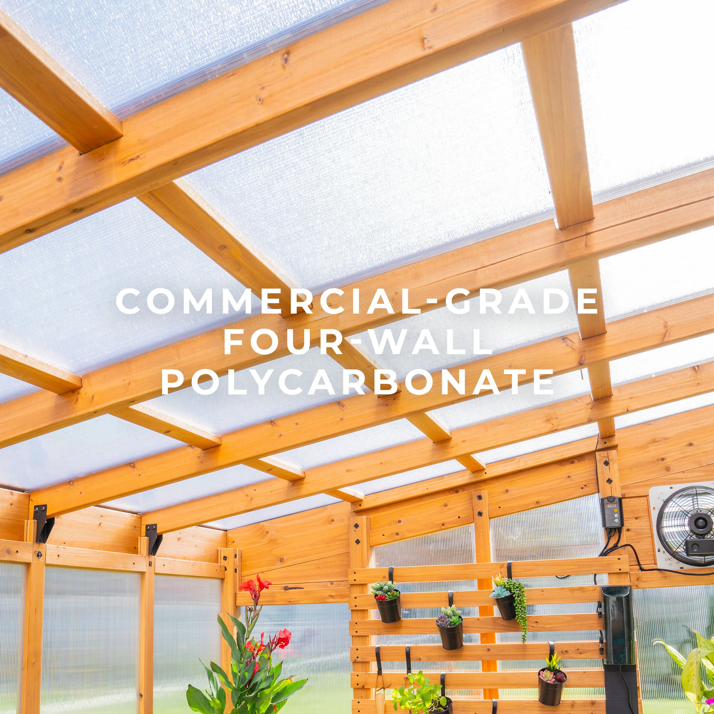 12x7 Zalie Greenhouse - Image 4